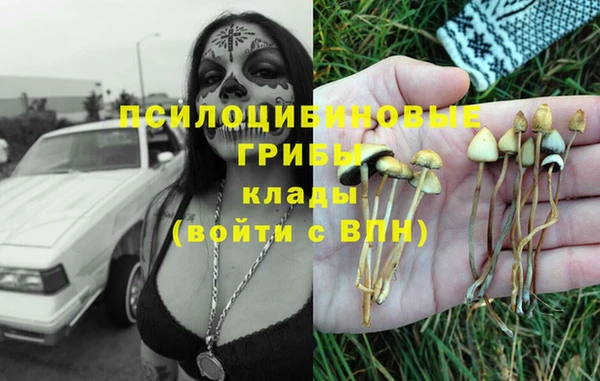 стаф Волоколамск
