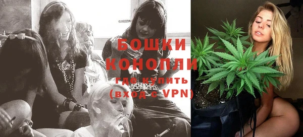 шишки Володарск