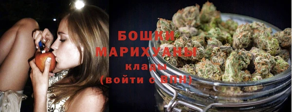 шишки Володарск