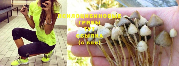 шишки Володарск