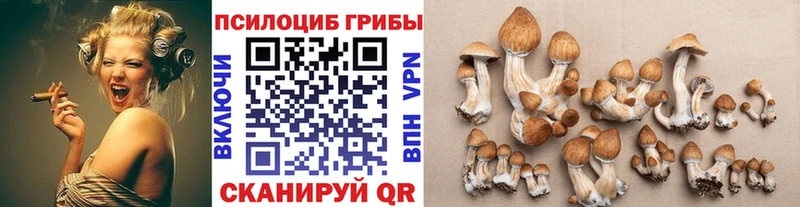 Галлюциногенные грибы мухоморы  хочу наркоту  Каменногорск 